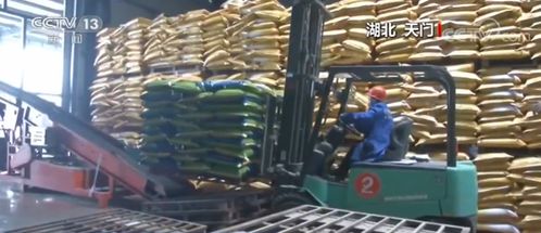 湖北 生產生活正逐步恢復常態