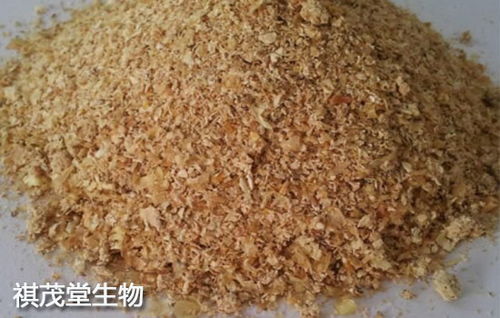 怎么給哺乳母豬配制飼料 母豬不宜喂哪些食物 母豬防治疾病的中草藥配方