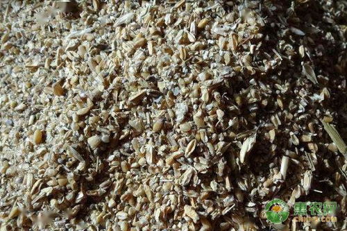 養殖戶請注意 飼料成本與飼養成本的區別你知道多少