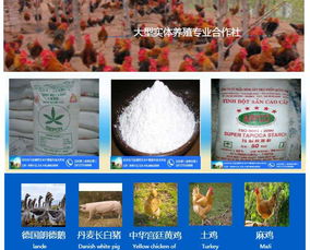 蕎麥收購 汈汊湖四叉水產 在線咨詢 濰坊蕎麥