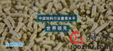 三胞胎 橫空出世 為仔豬健康成長 保駕護航