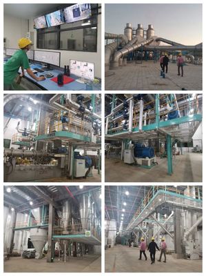 5G豪華飼料廠來了!澳華打造50萬噸級飼料單廠航母,開啟價值創享新征程!