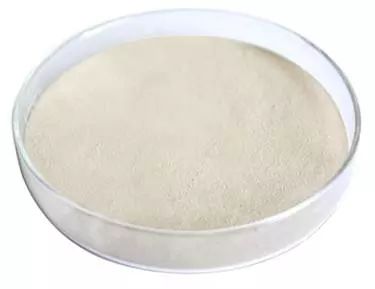 豬血漿蛋白粉攜帶非洲豬瘟病毒 asfv 的風險及對策