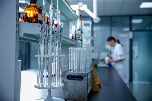 效率先鋒丨海大集團李可 一張表搞定禽類養殖全周期監控