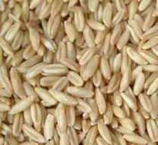 采購大麥 求購大麥 大麥詢價單信息 百卓采購網