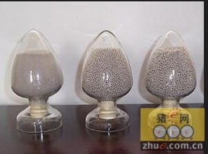 養豬新聞 養豬行業新聞 養豬產業新聞 養豬資訊 養豬培訓