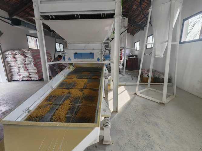 飼料顆粒機全套設備 推動飼料原料銷售的高效解決方案