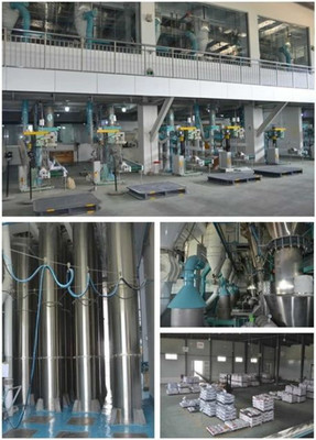 深耕飼料原料行業，鑄就品質與信任——普愛集團介紹