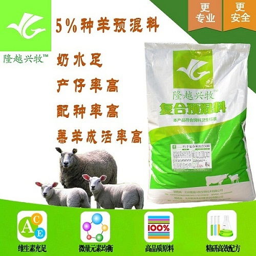 哺乳母羊飼料選擇與營養管理指南