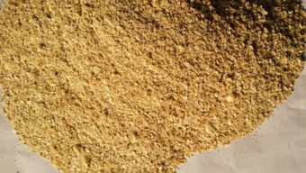 飼料生產進入高成本時代，行情穩中上行成為新常態