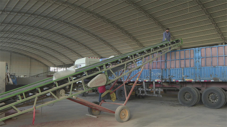 張掖市人民政府飼料原料銷售服務與管理指南