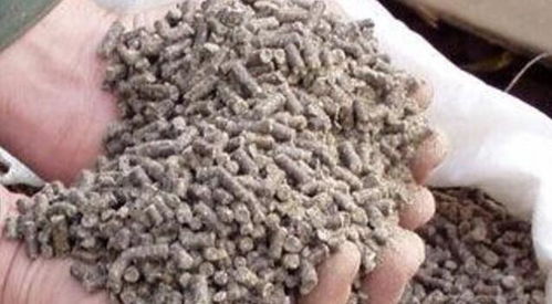 飼料加溫生產中的蒸汽發生器 河南優星鍋爐在飼料及原料生產中的關鍵作用